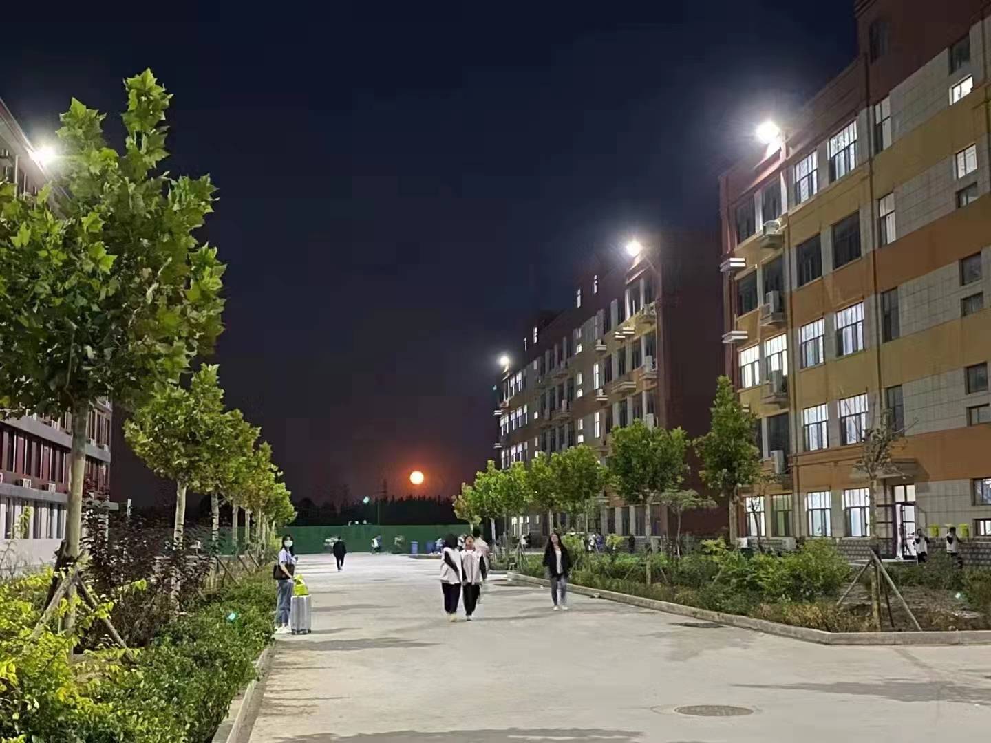 美丽校园