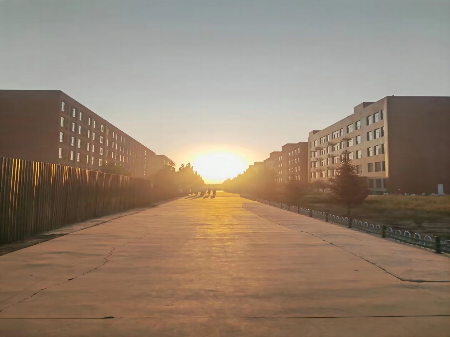 美丽校园