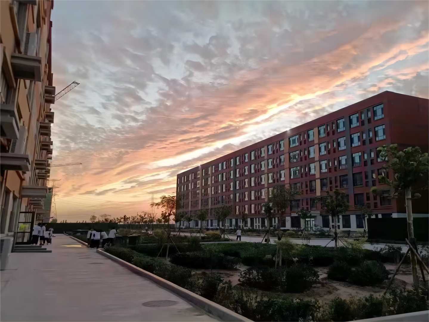 美丽校园